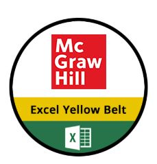 Excel Yellow Belt