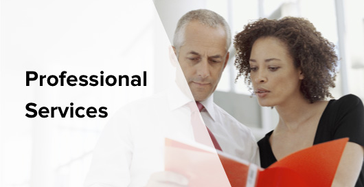 Professional Services Professional Services