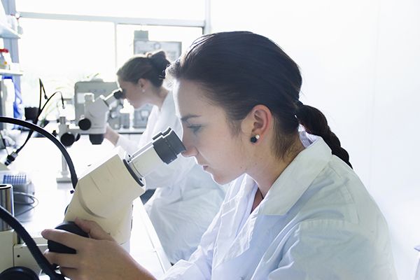 Virtual Labs: Taking Cadaver Labs Online Virtual Labs: Taking Cadaver Labs Online