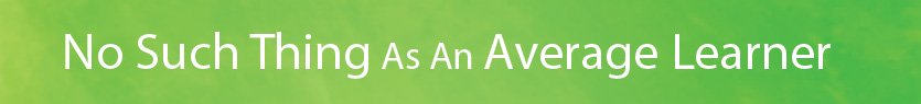 No Such Thing as an Average Learner No Such Thing as an Average Learner