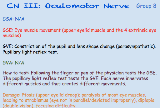 Note card with oculomotor nerve as heading. All of the actions of this nerve are listed.