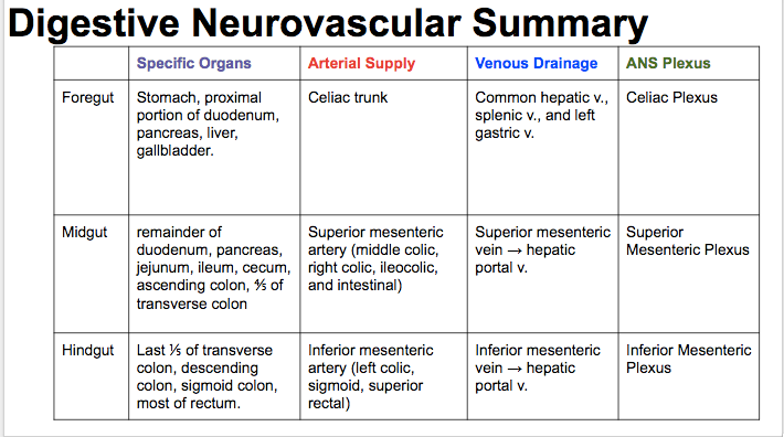 Table titled digestive neurovascular summary.  Three row headings: foregut, midgut and hindgut.  Four column headings: specific organs, arterial supply, venous drainage and ANS plexus. Content for each cell of the table is filled in.
