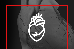 human heart icon