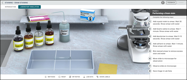 Virtual Labs