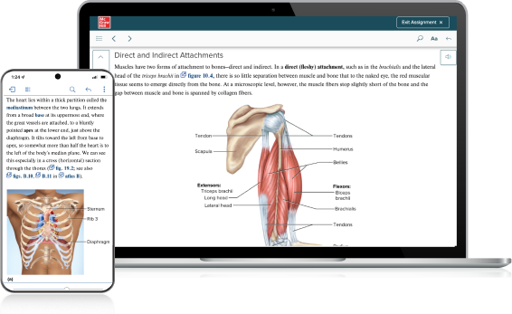 anatomy and physiology assignments