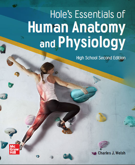 Hole's Essentials of Human Anatomy and Physiology