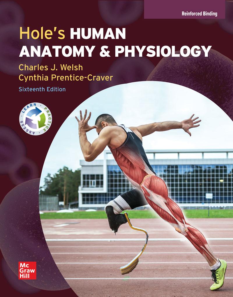 Welsh, Hole’s Human Anatomy & Physiology cover