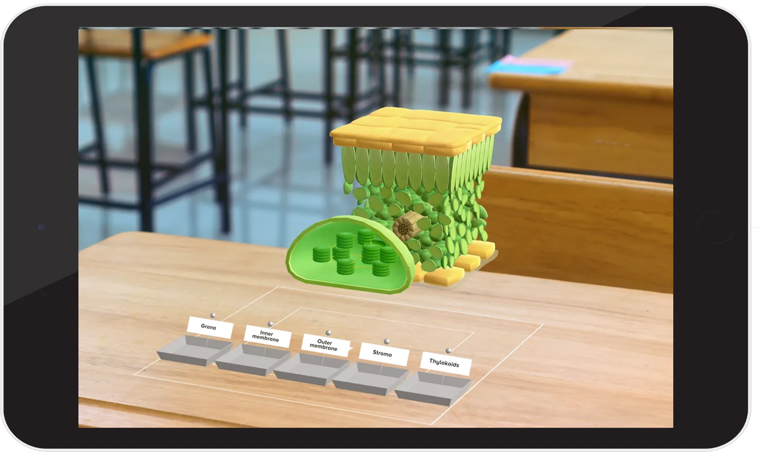 science augmented reality activity for classroom
