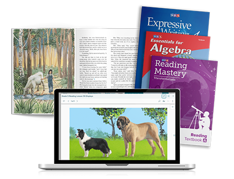 Expressive Writing, Essentials for Algebra, Reading Mastery covers and example on laptop