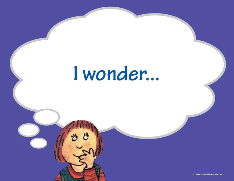 Think Aloud Prompt: I wonder