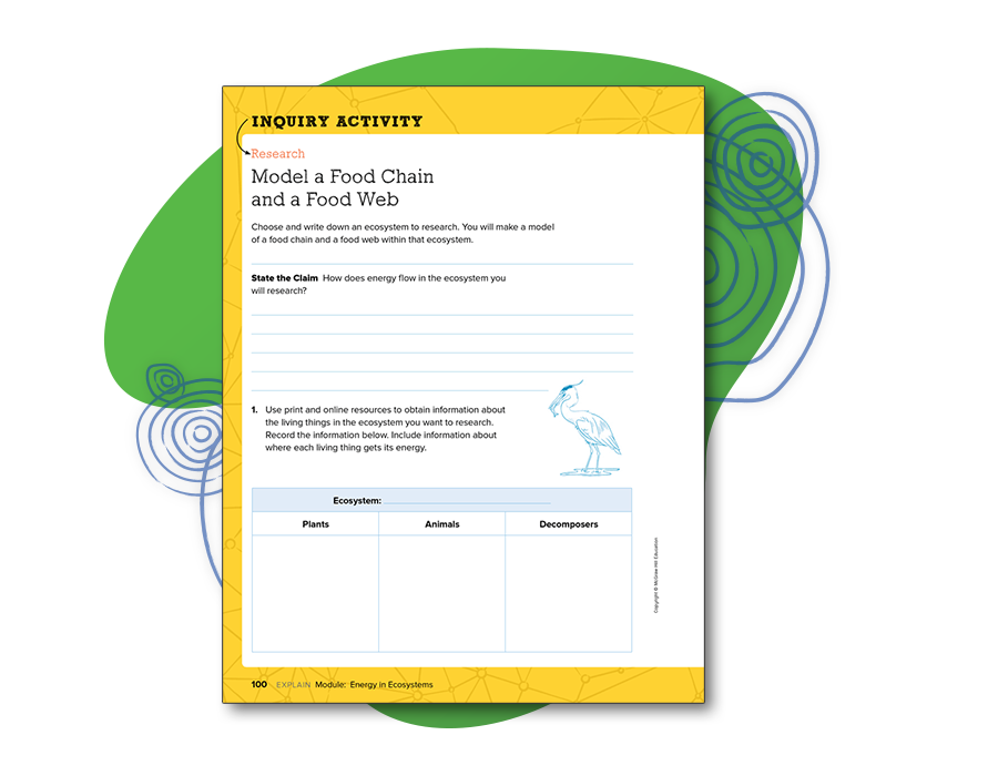 Inquiry Activity, Research, Model a Food Chain and Food Web