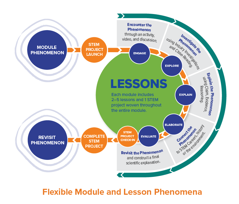 Flexible Module and Lesson Phenomena