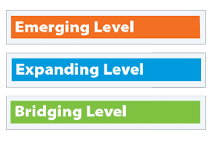 Emerging Level, Expanding Level, and Bridging Level