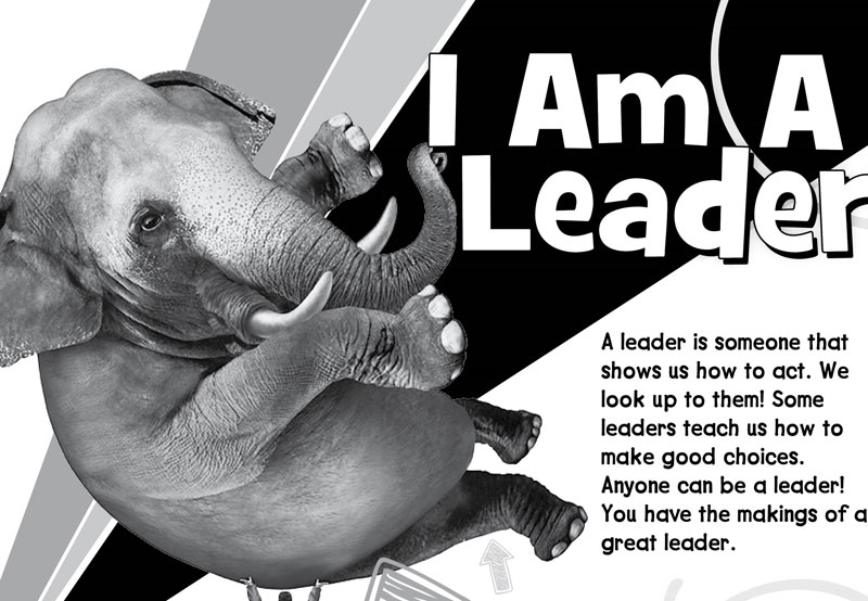 I am a leader