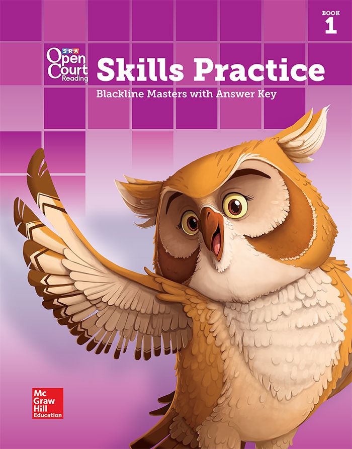 Cover of Grade 4 Skills Practice