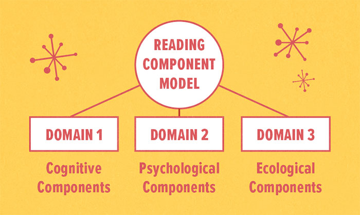 Science of Reading component model