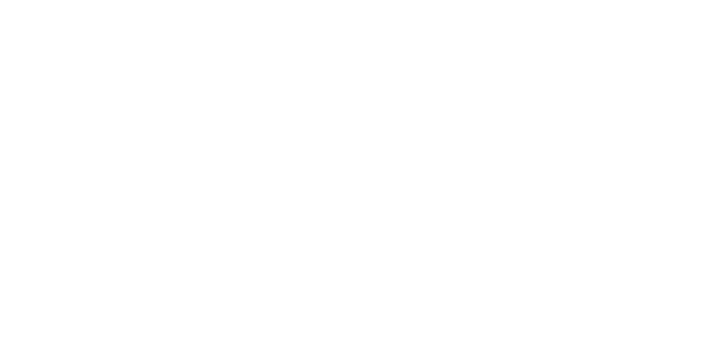 Tennessee Social Studies logo