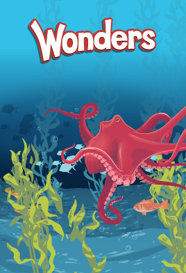 Wonders cover