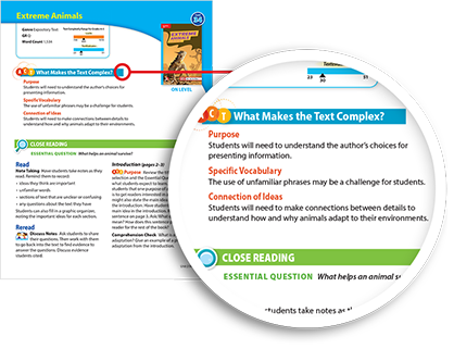 Leveled Reader Lesson Cards