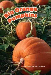 Science, A Closer Look, Big Orange Pumpkins (6 copies)
