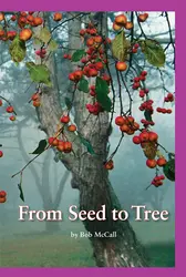 Science, A Closer Look, From Seed to Tree (6 copies)