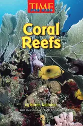 Science, A Closer Look, Grade 3, Coral Reefs (6 copies)
