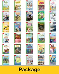 Reading Wonders, Grade 1, Leveled Reader Package Beyond