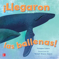 Lectura Maravillas Literature Big Book: ¡Llegaron las ballenas! Grade K