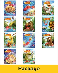 Reading Wonders Reading Writing Worshop Big Book Package Grade K