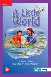 Reading Wonders, Grade 2, Leveled Reader A Little World, ELL, Unit 4, 6-Pack