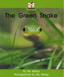 TWIG, (Level G) The Green Snake 6-pack