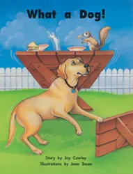 Story Basket, What a Dog!, Big Book