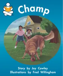 Story Box, Champ