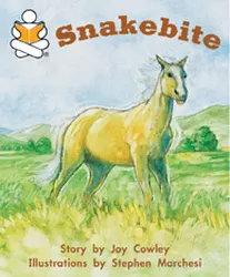 Story Box, (Level J) Snakebite