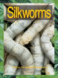 Take Two, Silkworms, Level K, 6-pack