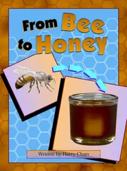 Take Two, Expansion (Level E - Nonfiction) From Bee to Honey 6-pack