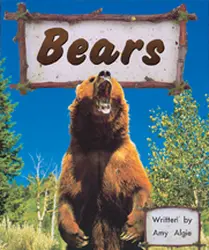 Storyteller, First Snow, (Level B) Bears 6-pack