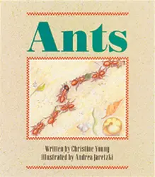 Wonder World, Ants