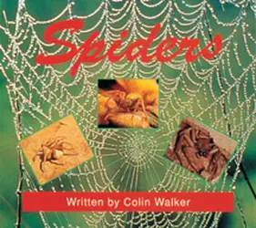 Wonder World, (Level I) Spiders 6-pack