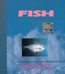 Wonder World, (Level E) Fish 6-pack