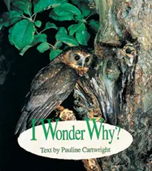 Wonder World, (Level G) I Wonder Why? 6-pack