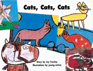 Story Basket, Cats, Cats, Cats, 6-pack
