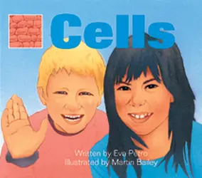 Wonder World, (Level L) Cells 6-pack