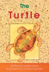 Foundations, The Turtle