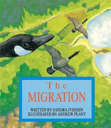 Wonder World, The Migration