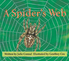 Wonder World, A Spider's Web