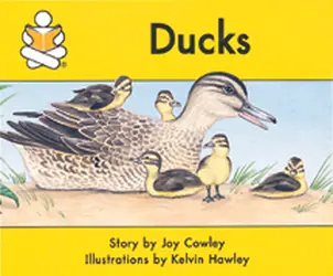 Story Box, (Level F) Ducks