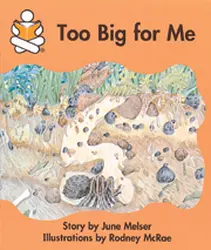 Story Box, Too Big for Me