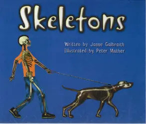 Storyteller, (Level E) Skeletons 6-pack