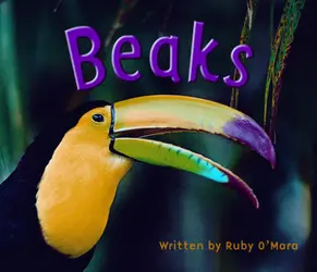 Gear Up, (Level F) Beaks, 6-pack